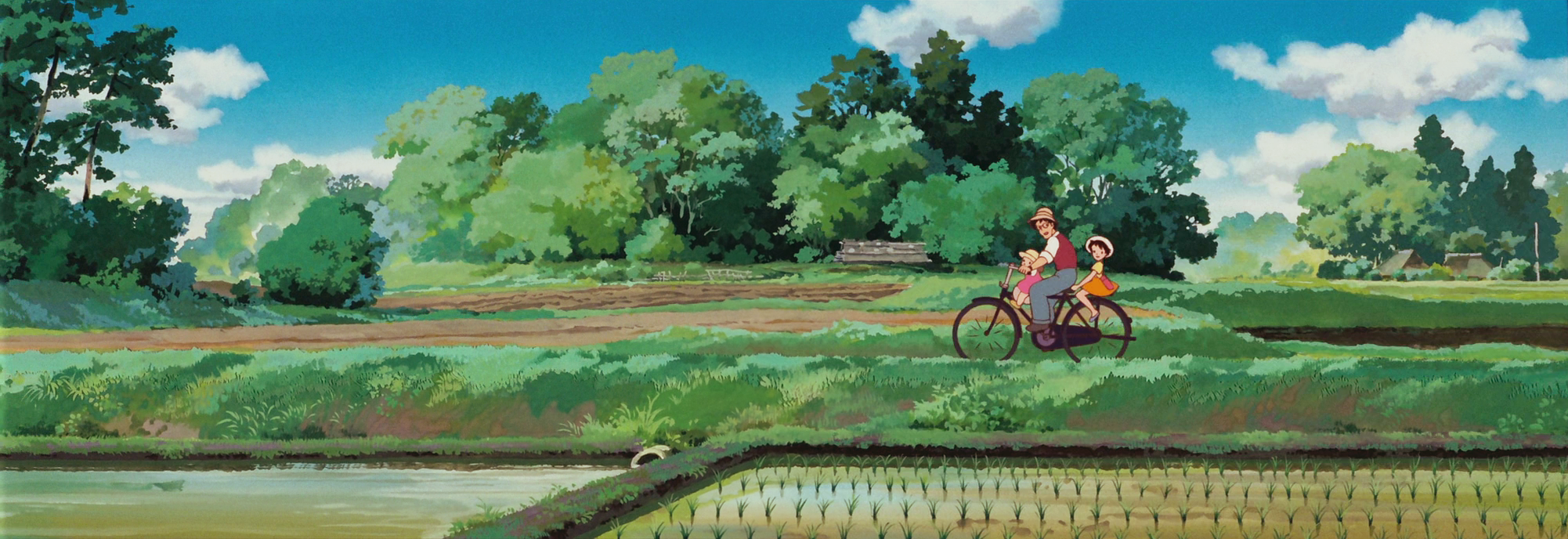 About Header Image